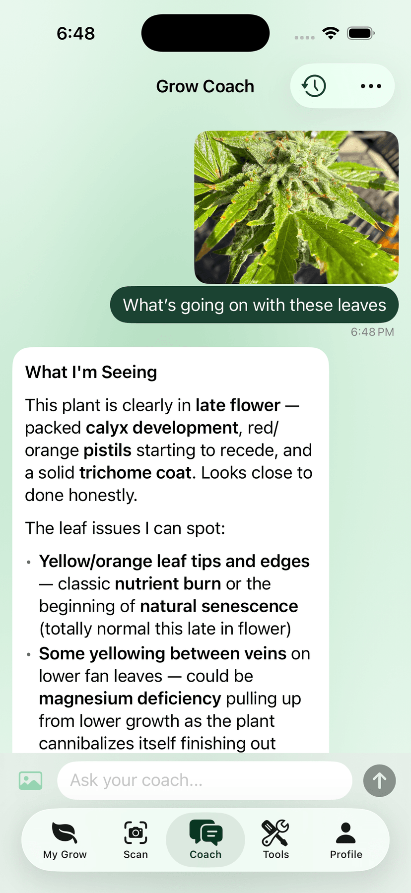 Grow Coach AI — Cultivar app
