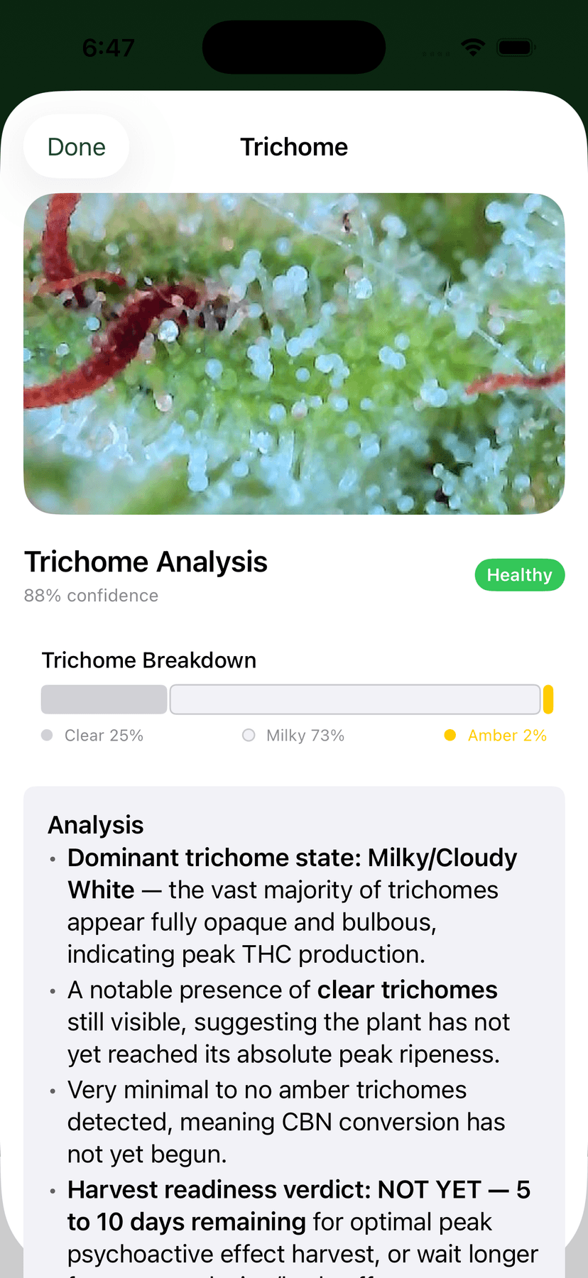 Trichome analysis — Cultivar app